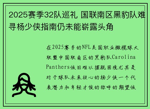 2025赛季32队巡礼 国联南区黑豹队难寻杨少侠指南仍未能崭露头角